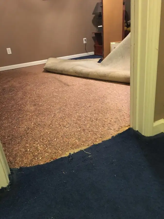 Carpet pad removal revealing water damage during Water Mitigation Services in Eastman