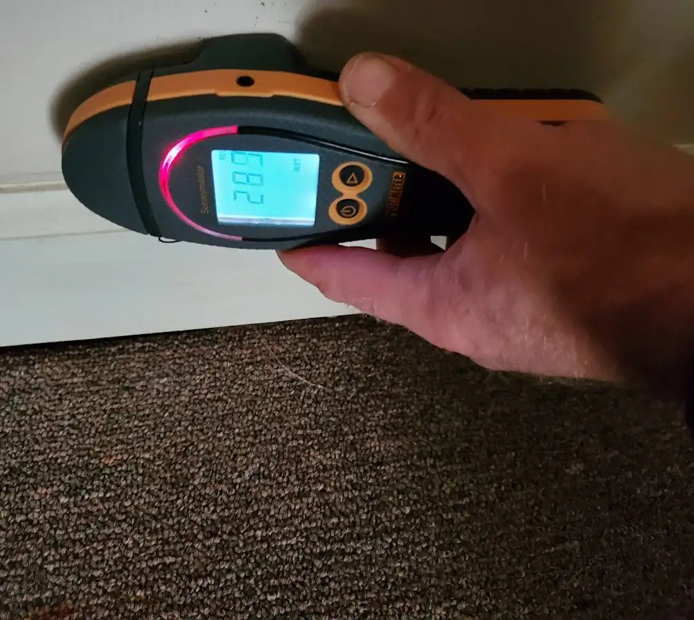 Moisture detection at baseboard during Burst Pipe Cleanup in Eastman